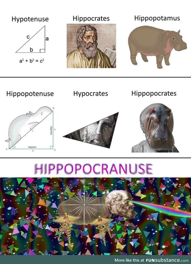 Maximum hypocrates