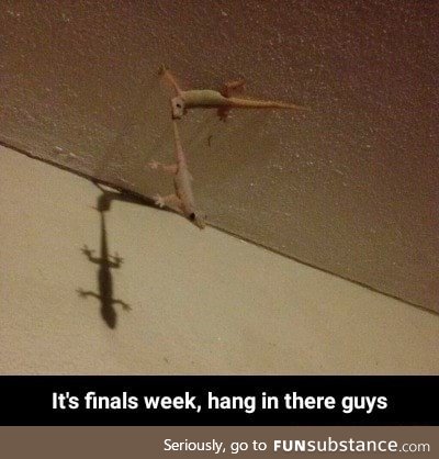 Hang in there