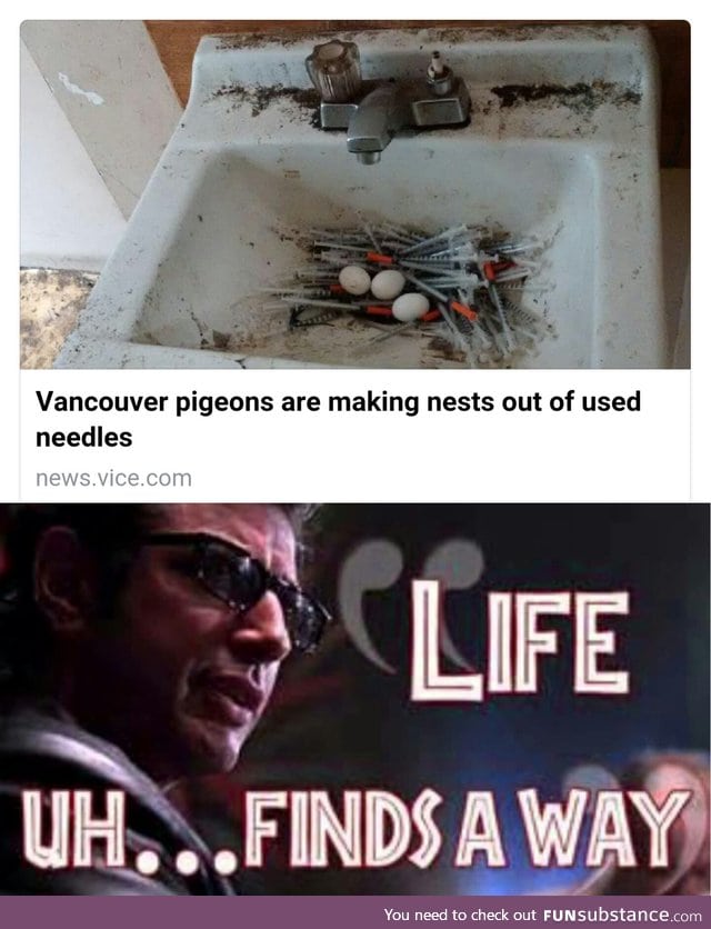 Life uh... Finds a way