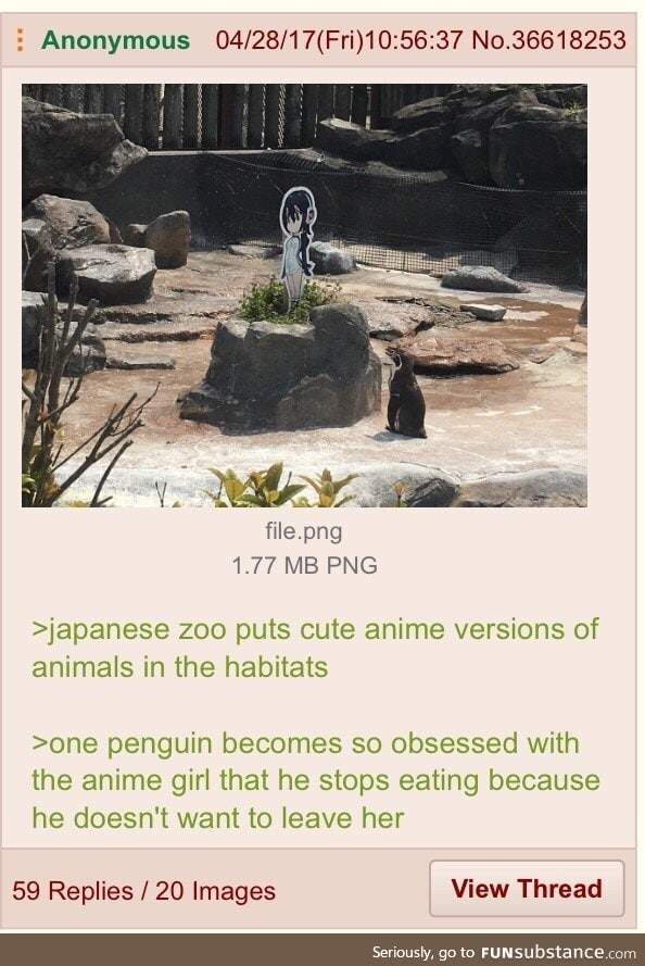 Even pinguins have waifus.