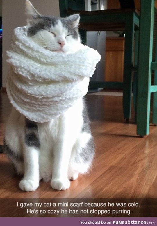 Cozy kitty scarf