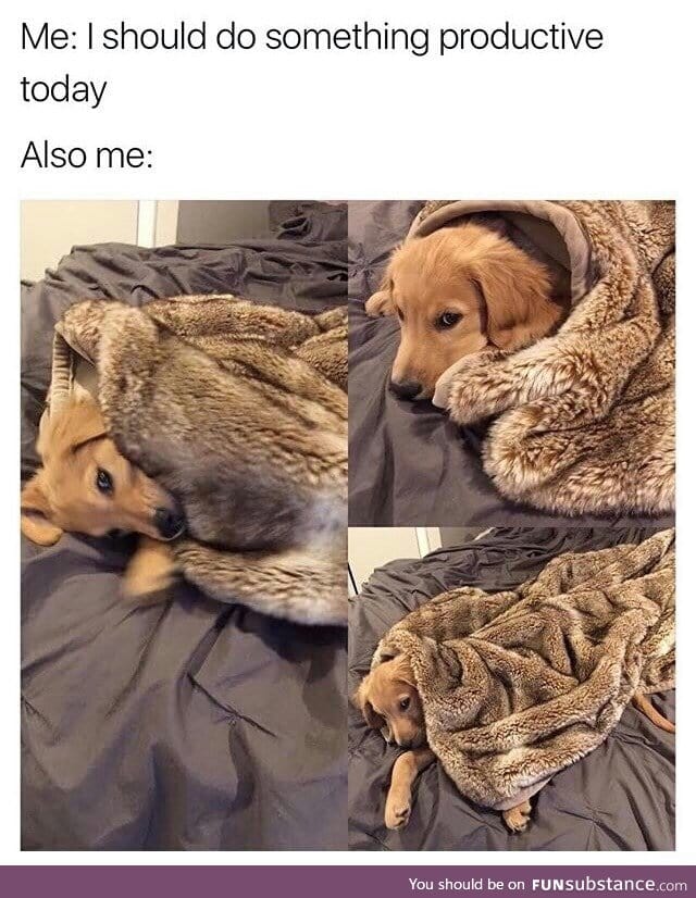 Blanket burrito