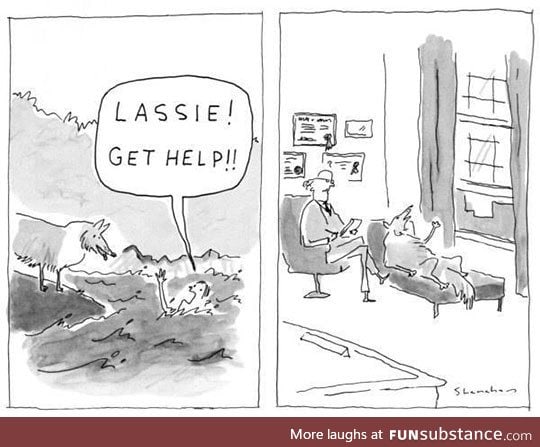 Lassie finally gets help