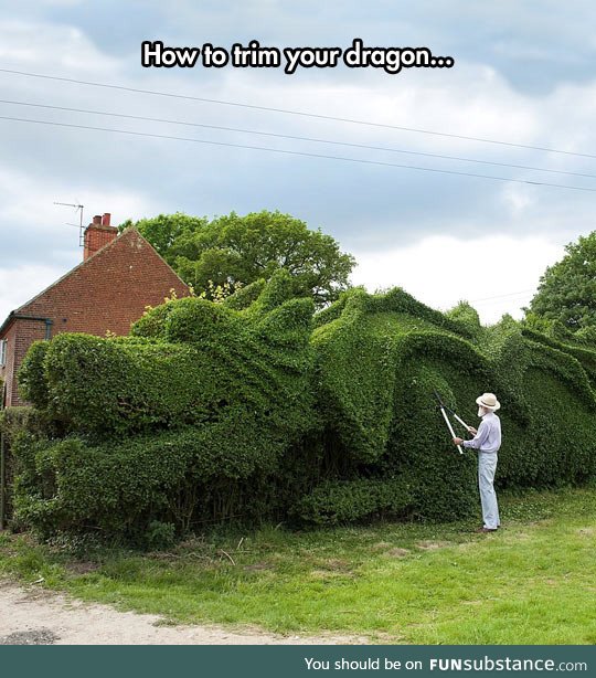 Trim your dragon