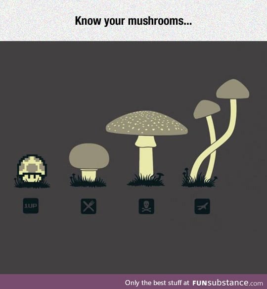 Something you should know about mushrooms