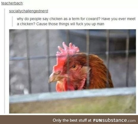 Chickens will mess you up