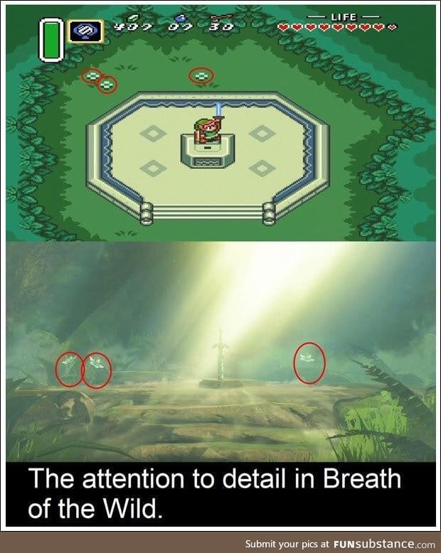 The attention to detail in Breath of the Wild