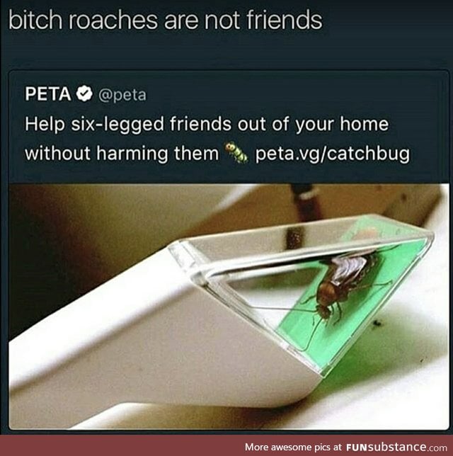 #killallroaches