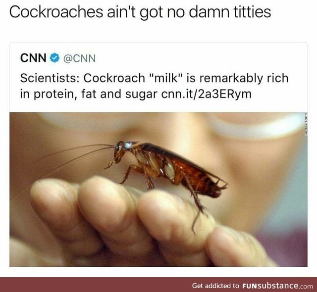 c*ckroach milk