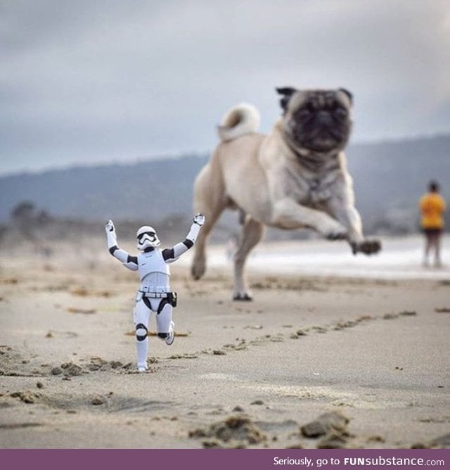 Run stormtrooper, run!