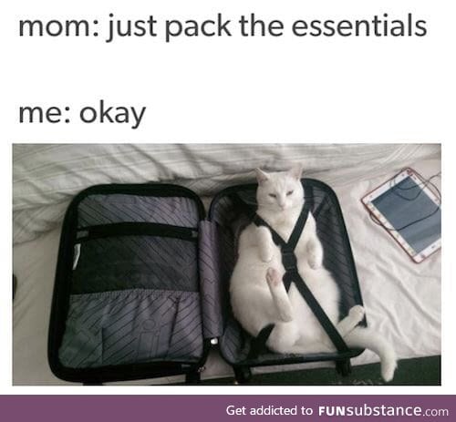 I would pack my gilfriend... If a had one