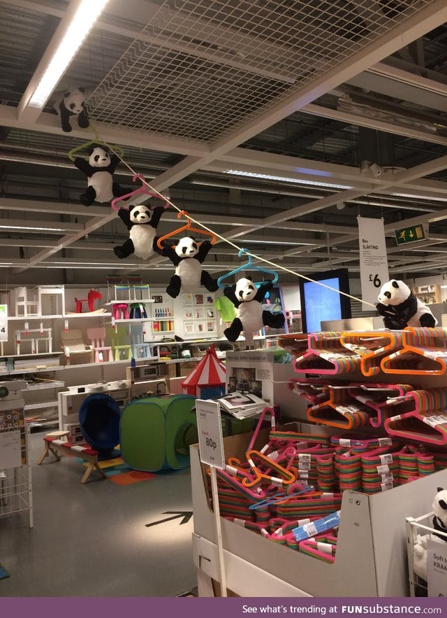 Panda getaway mission in IKEA