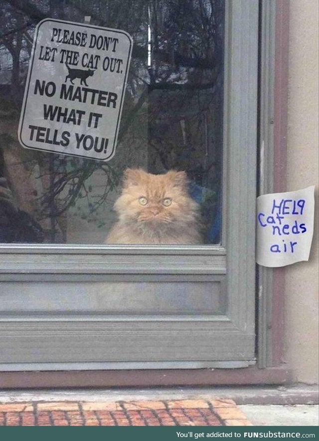 Please Don't Let The Cat Out