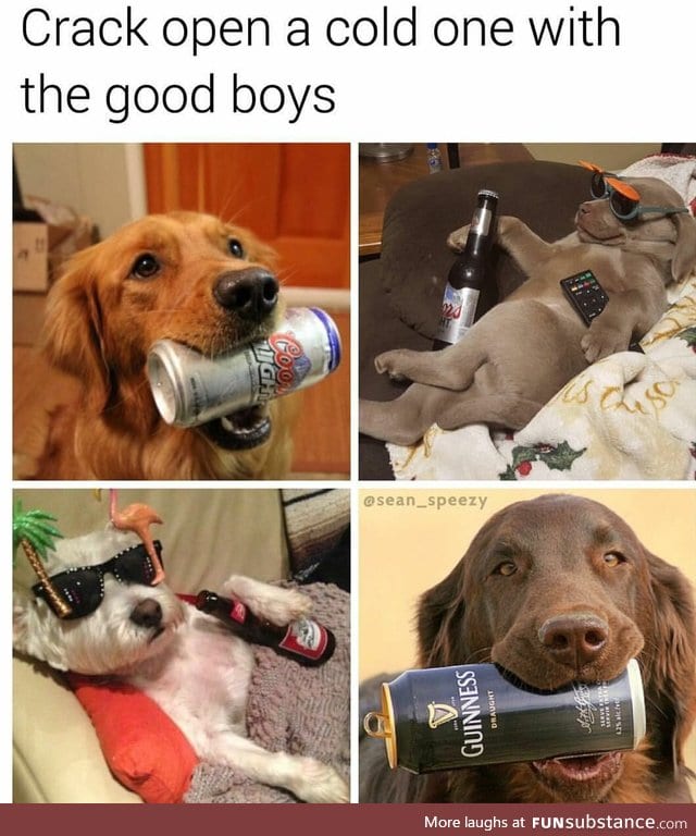 Good boyyos