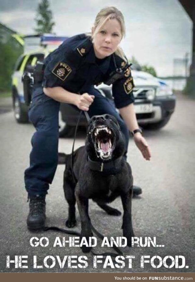 here's to the awesome K9 units