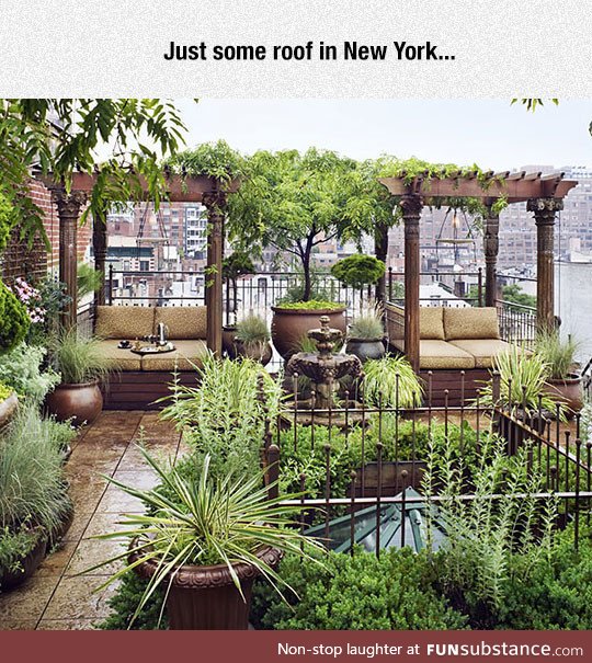 A different brooklyn roof