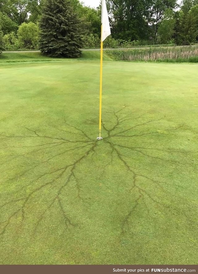 The pin was struck by lightning