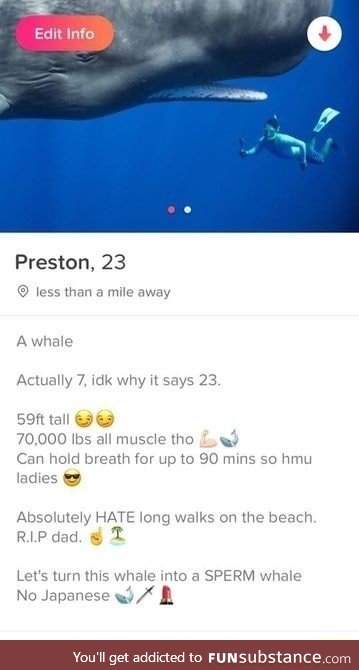 So many whales on Tinder