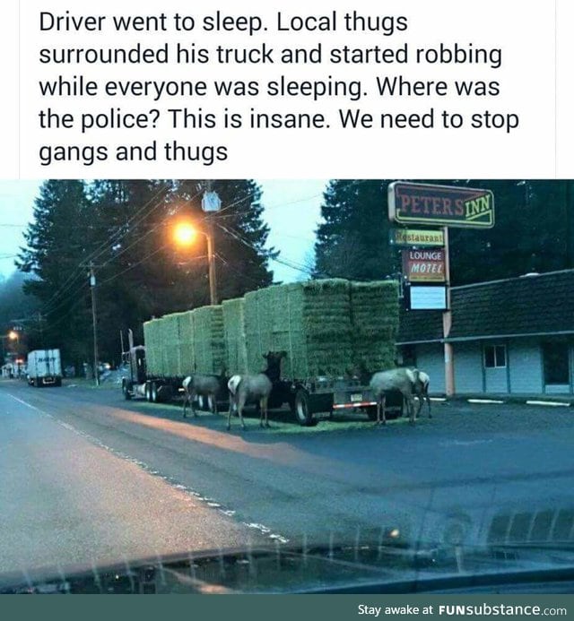 Crime is seriously getting out of control