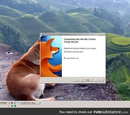 Completing the Mozilla Firefox Setup Wizard