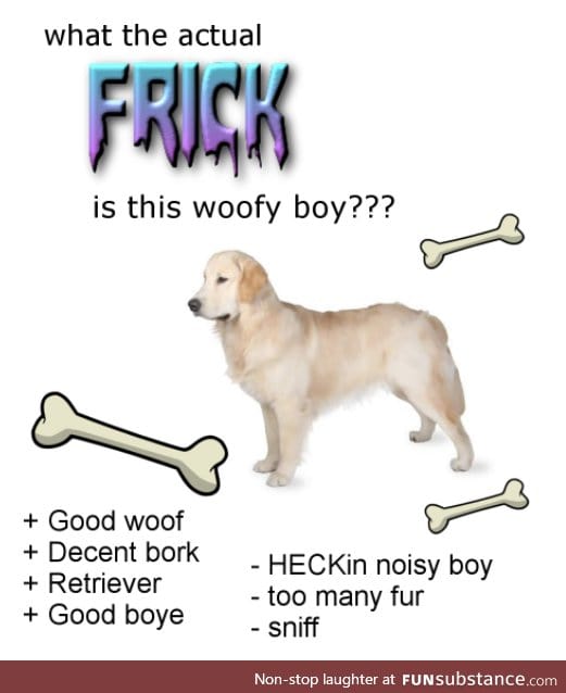 What a good woofy boy