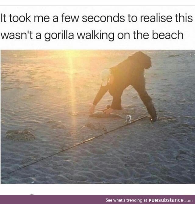 A gorilla at the beach