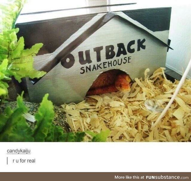 Snekhouse