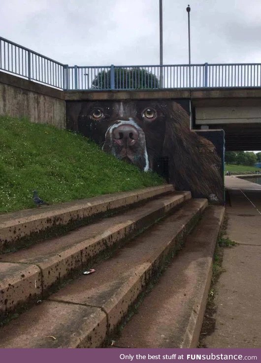 Street Art in Exeter, UK