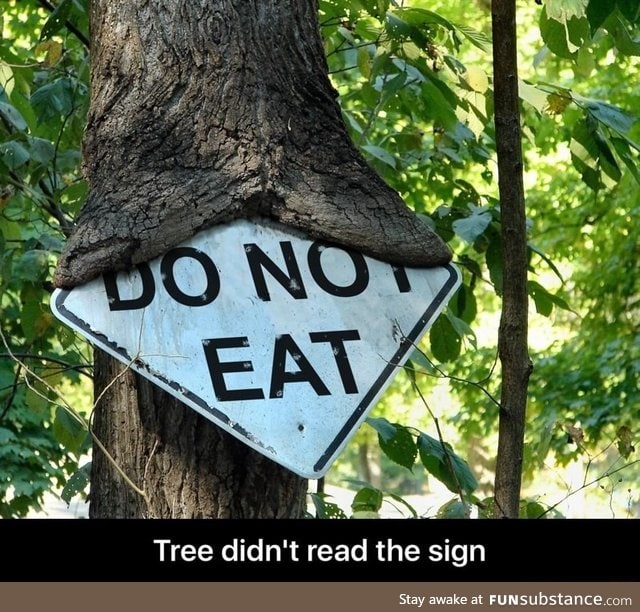 Tree does not care