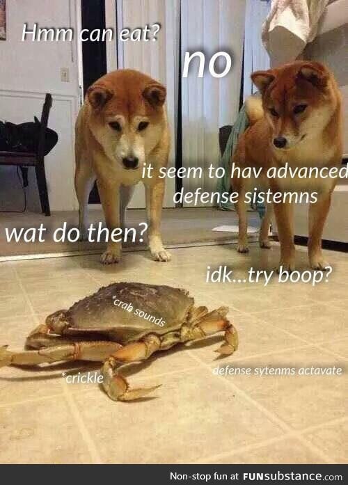 Doges and Crabe