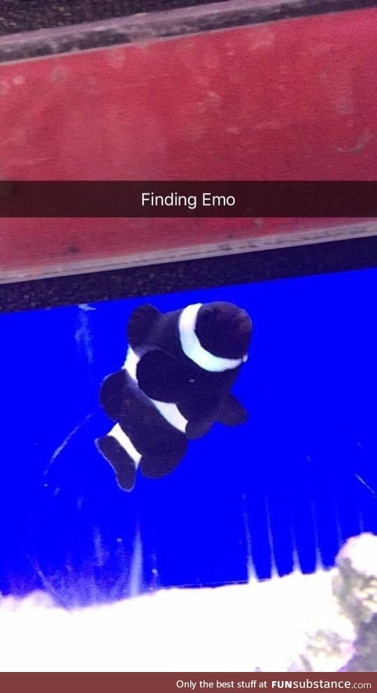 Finding Emo