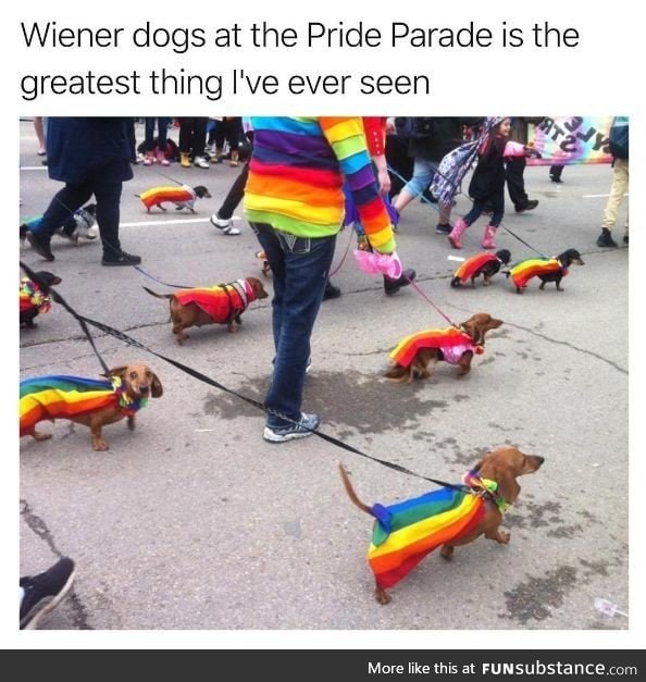 Wieners lol