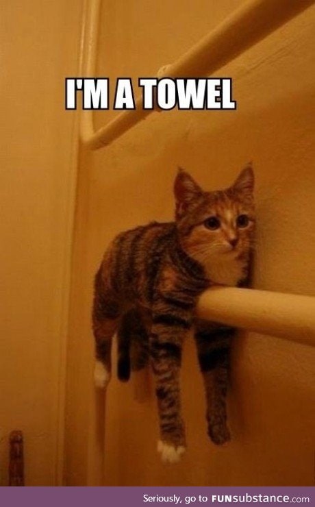 No you're a towel!