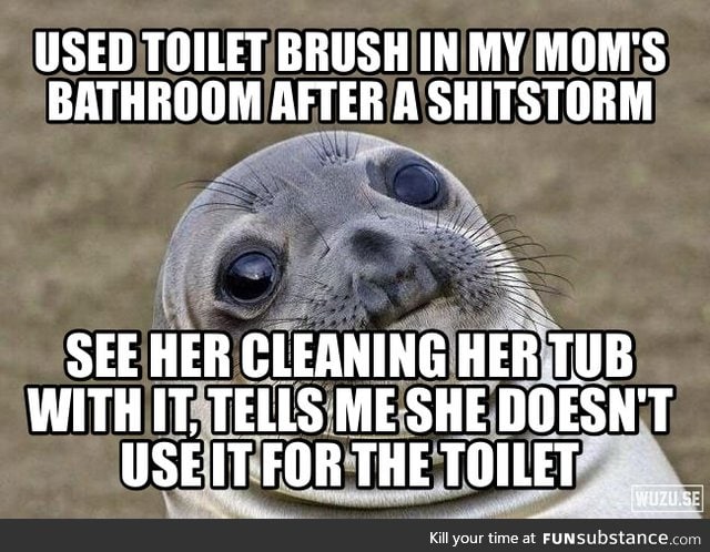 It's a TOILET brush, damnit!