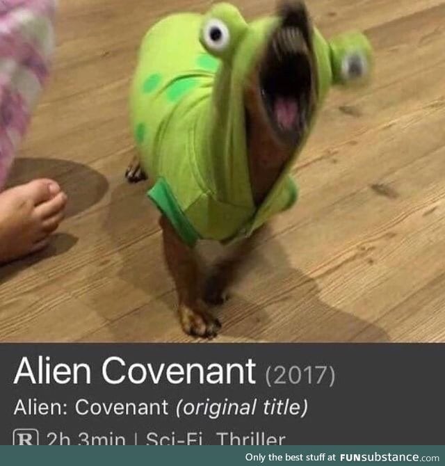 The new Alien movie looks great