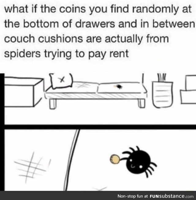 Spider are good tenants