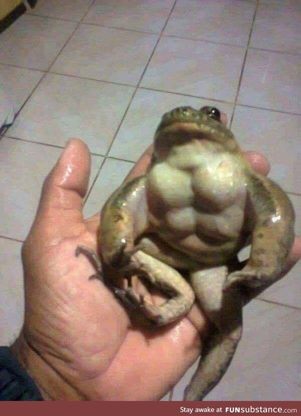 This buff frog