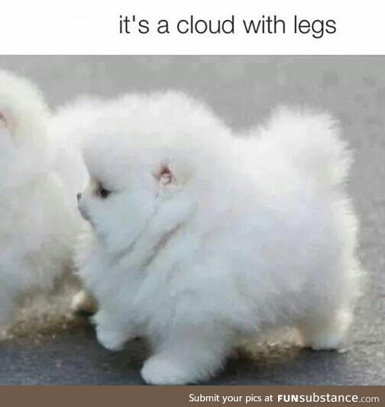 That fluffiness