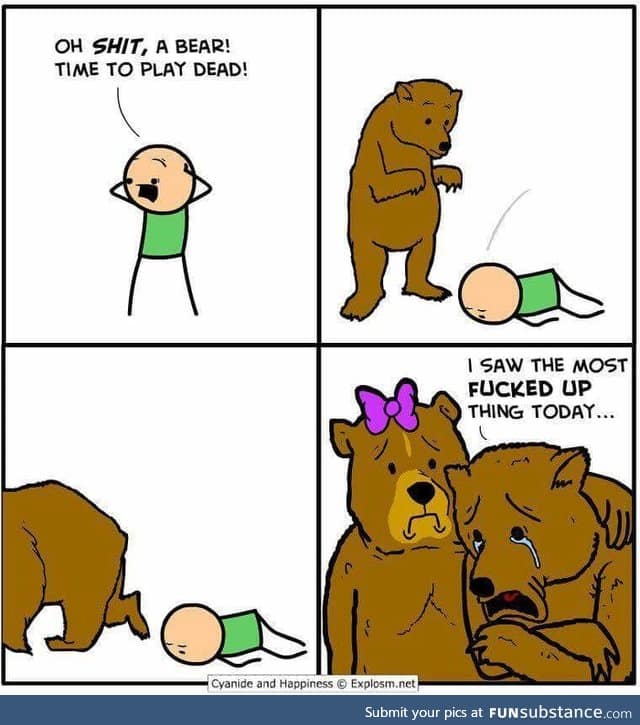 Poor bear