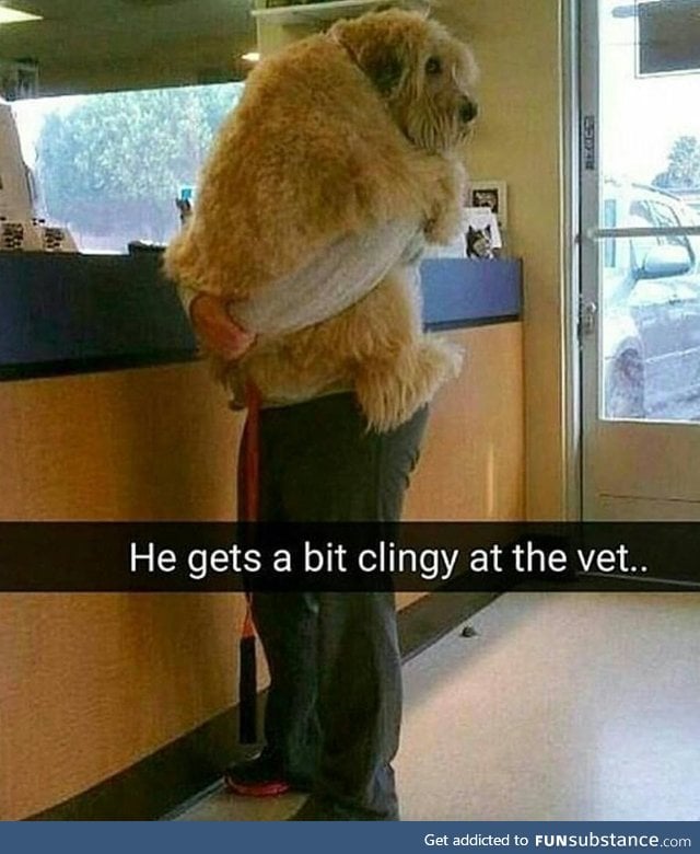 He gets a big clingy at the vet.