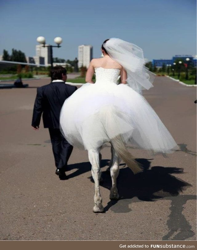 What a shame the poor groom's bride is a horse
