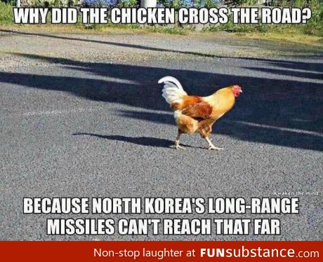 The reason the chicken cross the road