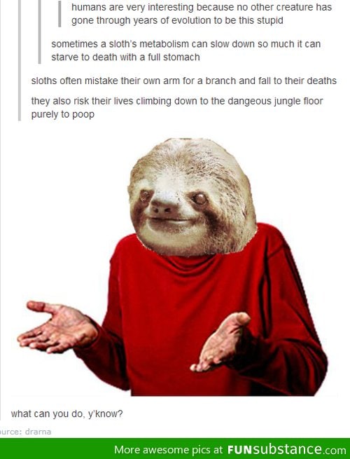 Sloths are not good lifeforms