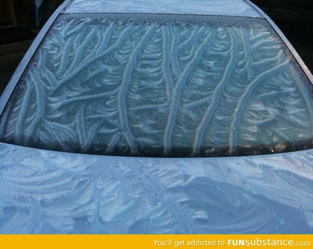 Winter fog made a unique ice pattern on a car