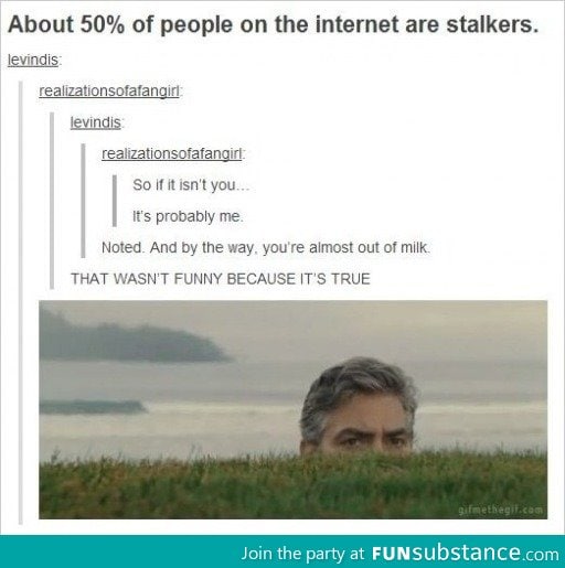 Stalkers on the Internet