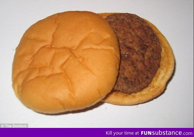 this is just a normal Mcdonalds burger right? it's over 14 years old