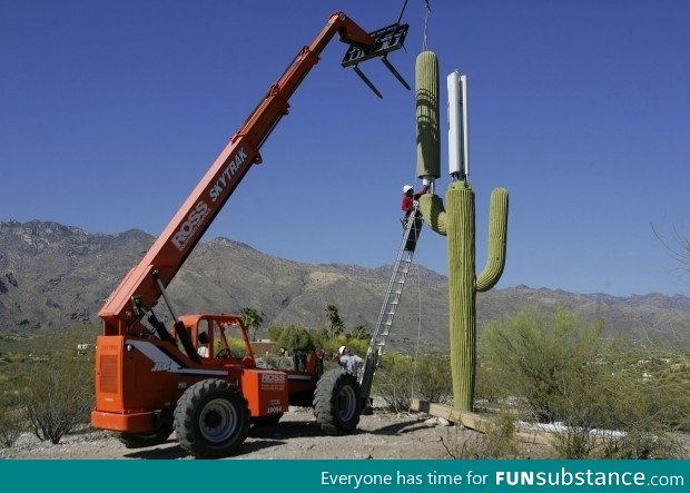 Hiding a Cellphone Tower in Arizona