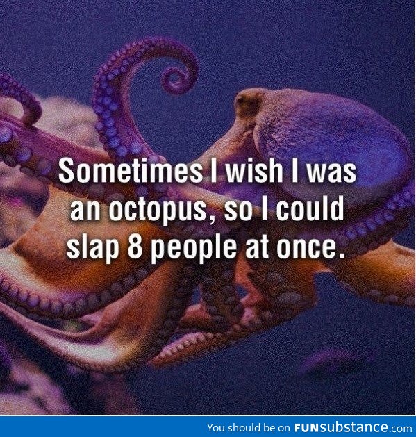 Being an octopus