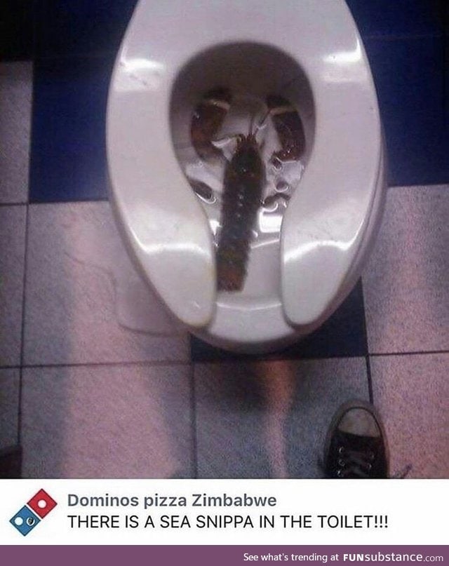 Only in Zimbabwe