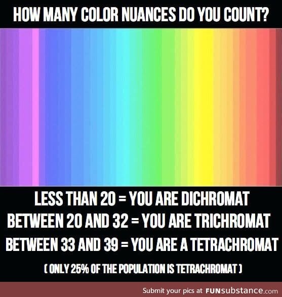 How many colors can you count?
